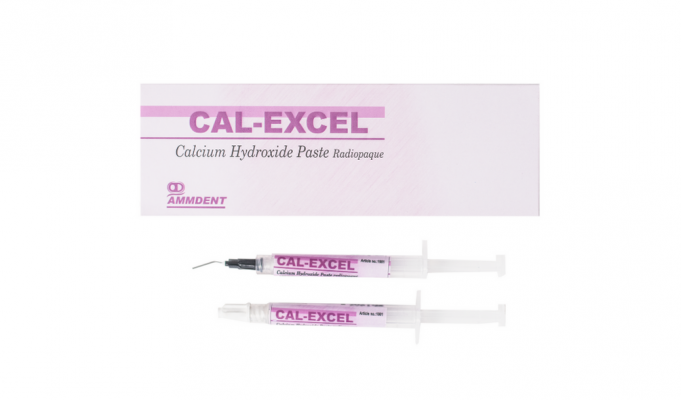 CAL-EXCEL